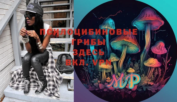 прущие грибы Лагань