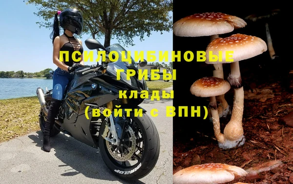Альфа ПВП Ладушкин