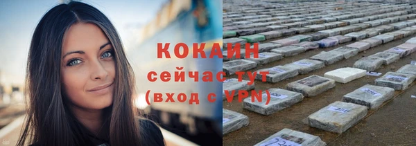 Альфа ПВП Ладушкин