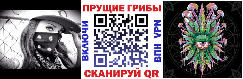 Купить где  Мосальск  Псилоцибиновые грибы MAGIC MUSHROOMS 